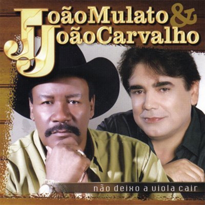 João Mulato E Douradinho (2000) (LP 826044030)